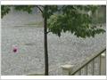 HAIL STORM on 2008/06/16 3:10 pm