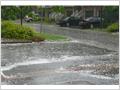 HAIL STORM on 2008/06/16 3:10 pm